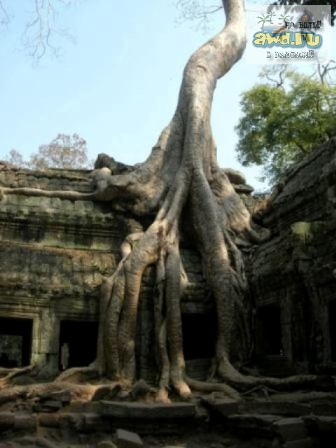 Бангкок - Камбоджа - Куала-Лумпур ( 19.01.2007 - 09.02.2007