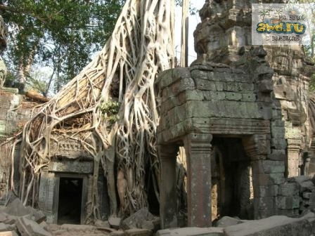 Бангкок - Камбоджа - Куала-Лумпур ( 19.01.2007 - 09.02.2007