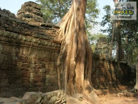 Бангкок - Камбоджа - Куала-Лумпур ( 19.01.2007 - 09.02.2007