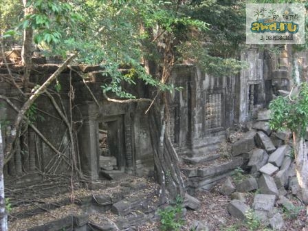 Бангкок - Камбоджа - Куала-Лумпур ( 19.01.2007 - 09.02.2007