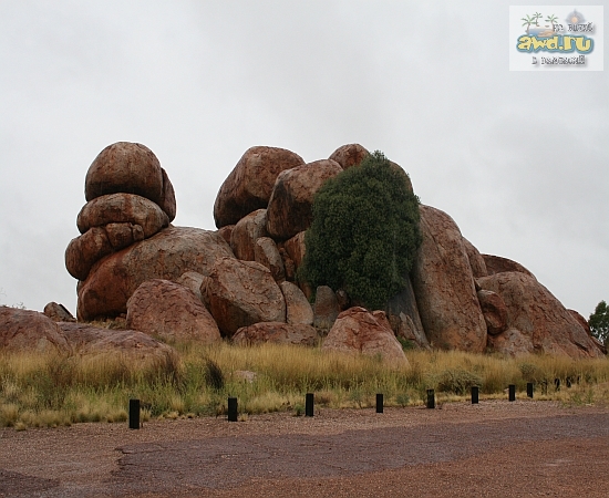 Съездил в Австралию - впечатления супер
