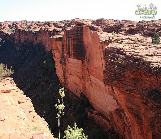 Съездил в Австралию - впечатления супер
